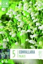 Convallaria majalis
