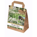 Cottage Garden Collection - The White Forest