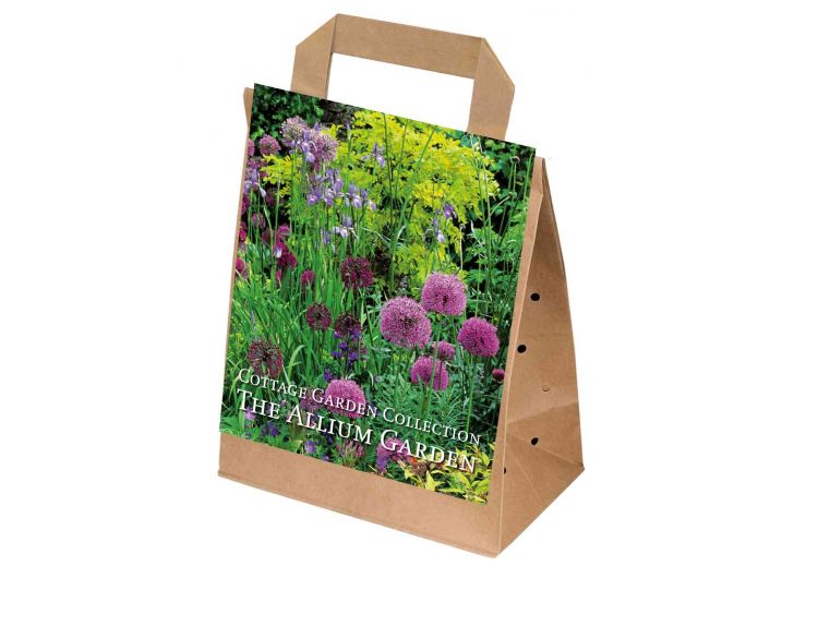 Cottage Garden The Allium Garden