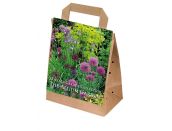 Cottage Garden The Allium Garden