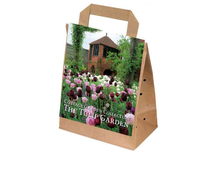 Cottage Garden The Tulip Garden