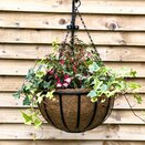 Country Forge Cambridge Hanging Basket with Coco Liner 12" - image 1