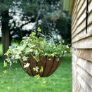 Country Forge York Hanging Basket with Coco Liner 16" - image 1