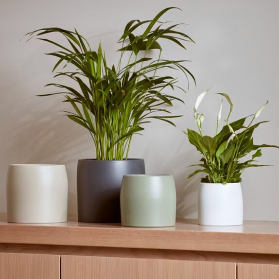 Cover Pot Pisa Green 10cm - image 2