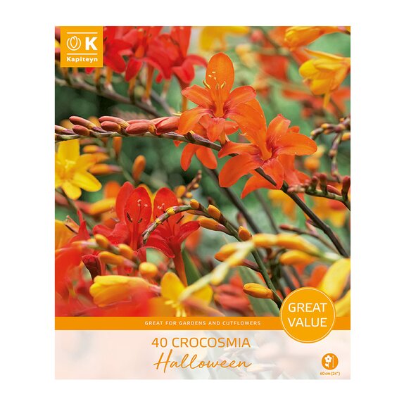 Crocosmia Halloween Great Value Pack