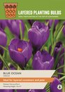 Crocus - Blue Ocean