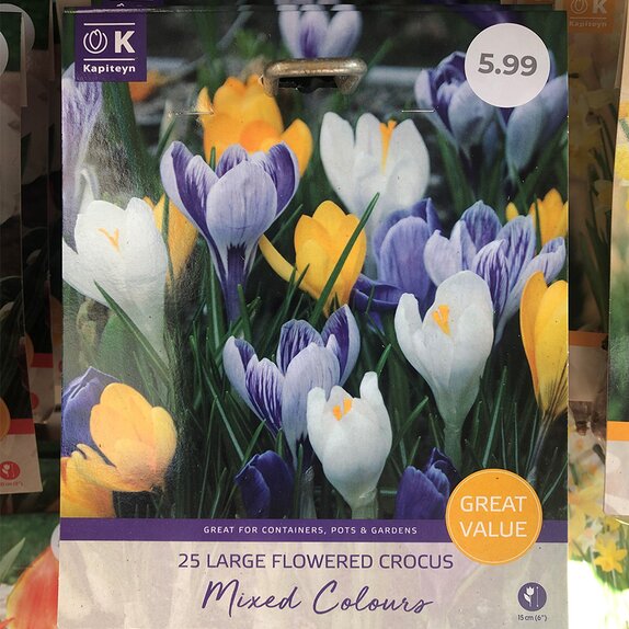 Crocus Large Flowered Mixed Great Value Pack