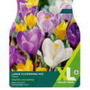 Crocus Large Flowering Mixed
