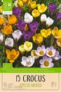 Crocus - Mixed Colours