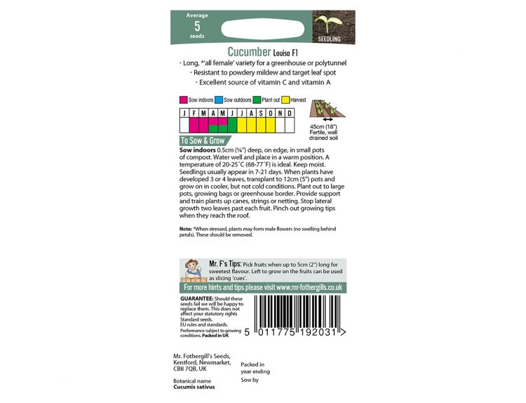 Cucumber Seeds Louisa F1 - image 2