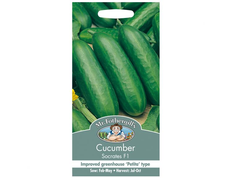 Cucumber Seeds Socrates F1 - image 1