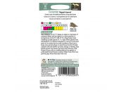 Cucumber Seeds Telegraph Improved - image 2