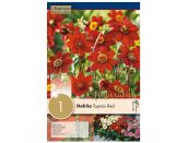 Dahlia Topmix Red