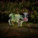 Daisy Cow - image 3