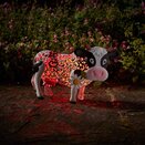 Daisy Cow - image 4