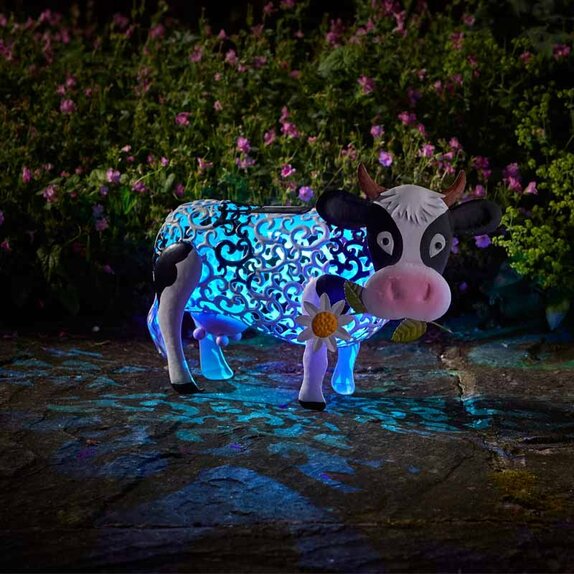 Daisy Cow - image 5