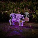 Daisy Cow - image 6