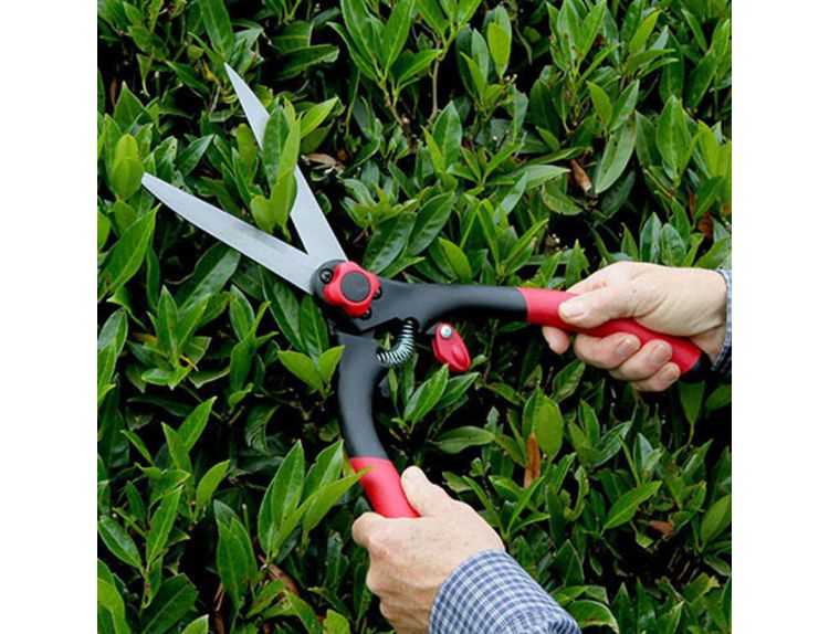 Darlac Classic Shear - image 1