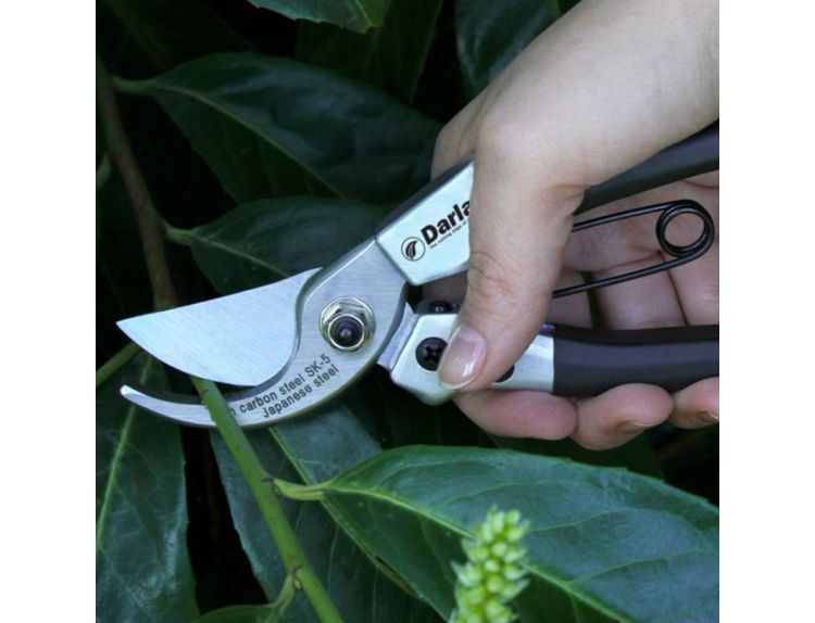 Darlac Compact Pruner - image 2