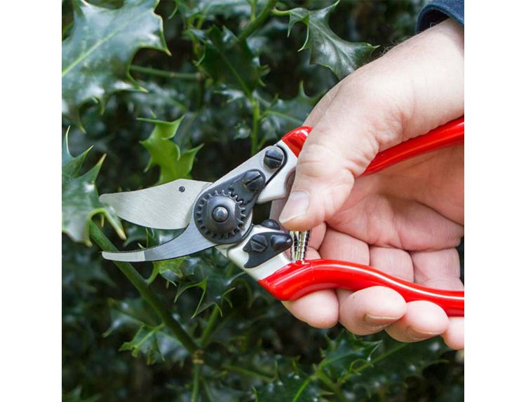 Darlac Expert Bypass Pruner - image 2