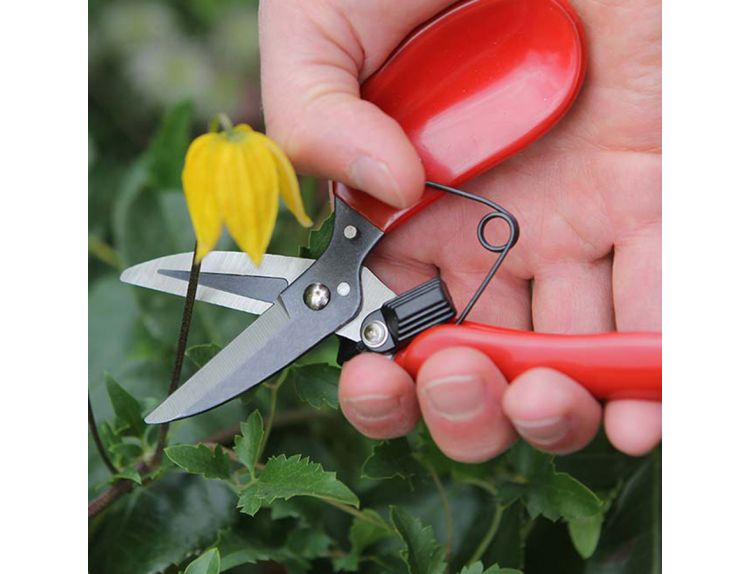 Darlac Floral Shear - image 2