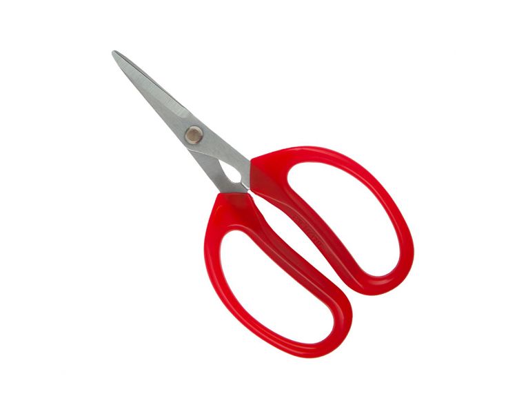 Darlac Softies Scissors