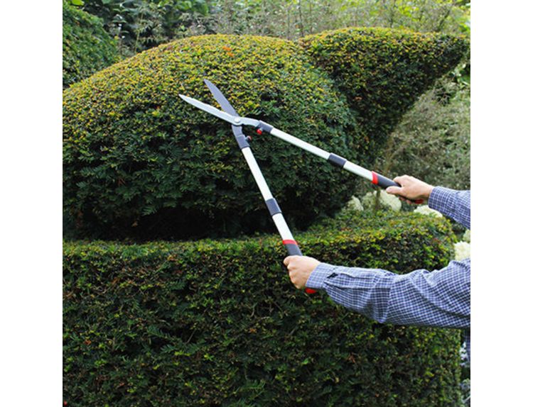 Darlac Telescopic Hedge Shear - image 1