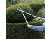 Darlac Telescopic Hedge Shear
