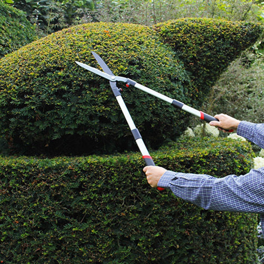 Darlac Telescopic Hedge Shear Knights Garden Centres
