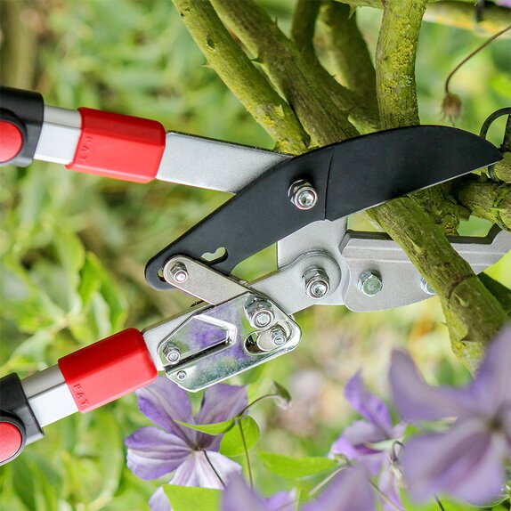 Darlac Telescopic Ratchet lopper - image 2