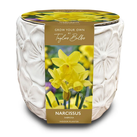 Deluxe Embossed Ceramic Planter