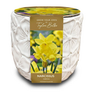Deluxe Embossed Ceramic Planter