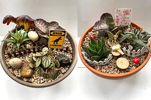 Dinosaur and Fairy Garden Workshop at Betchworth