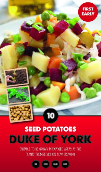 Duke of York Taster Pack