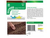 Dwarf French Bean Canelloni Lingot - image 2