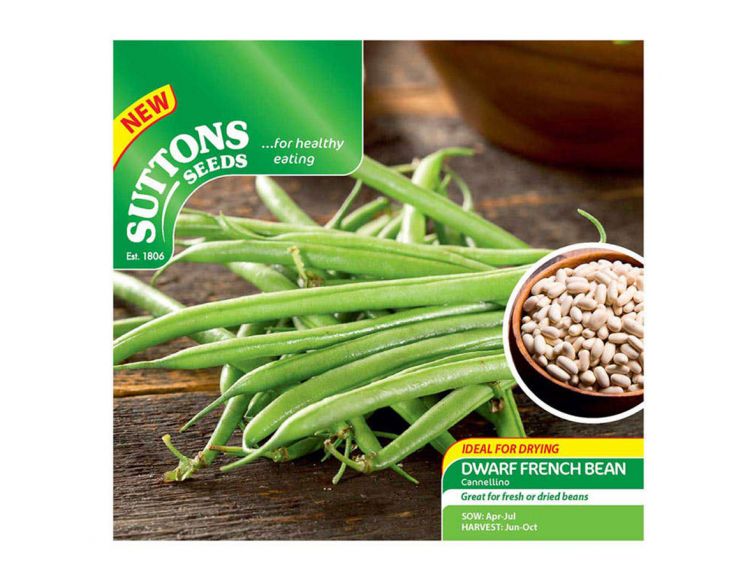 Dwarf French Bean Canelloni Lingot - image 1