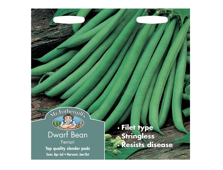 Dwarf French Bean Seeds Ferrari - image 1