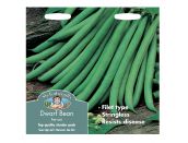 Dwarf French Bean Seeds Ferrari - image 1