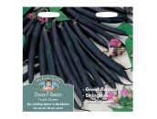 Dwarf French Bean Seeds Purple Queen - image 1