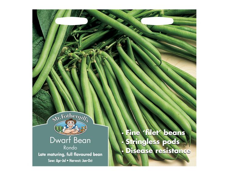 Dwarf French Bean seeds Rondo - image 1