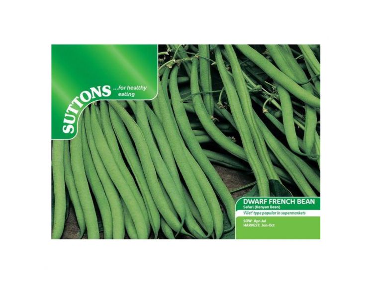 Dwarf French Bean Seeds Safari - image 1