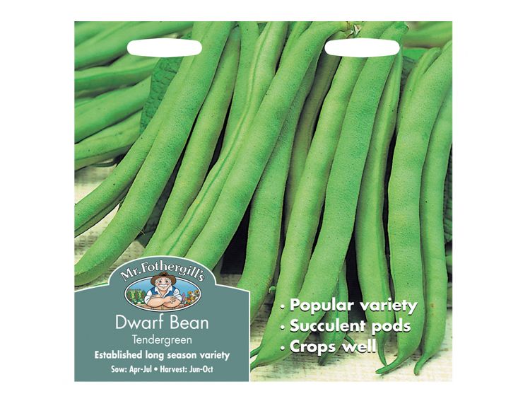 Dwarf French Bean Seeds Tendergreen - image 1