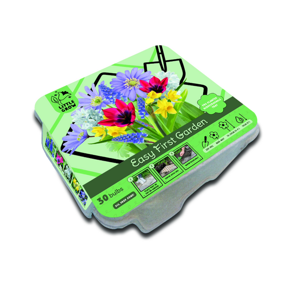 Easy First Garden Kit - Bright Colours