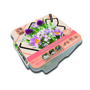 Easy First Garden Kit - Pastel Colours
