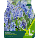 English Grown Bluebell