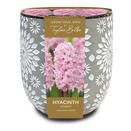Engraved Stone Hyacinth Planter