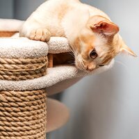 Equipment Bowls & Posts