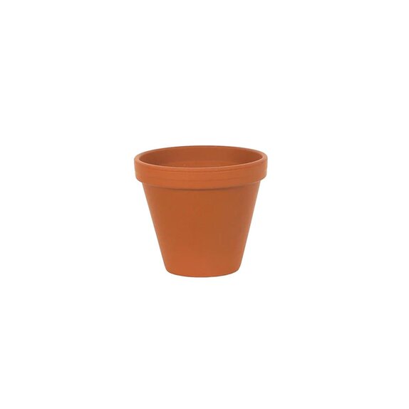 Essential Terracotta Standard Spang Pot 8in