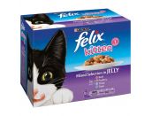 Felix Kitten Mixed Selection Multipack (12x100g)