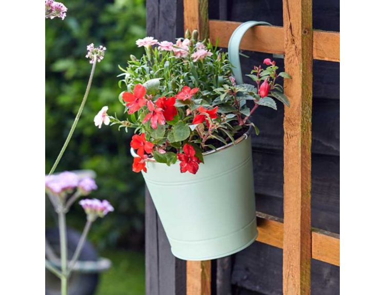 Fence & Balcony Hanging Pot Sage 6" - image 2